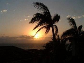 Zuider Zee Guest house 3*